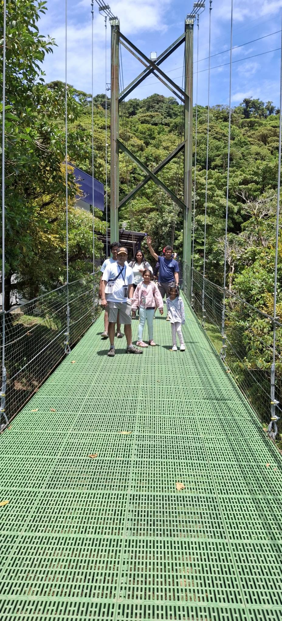 Rainforest suspension bridge with tropical scenery