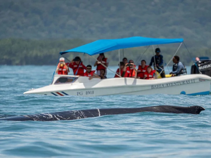 Whale watching boat off the Pacific coast of Costa Rica