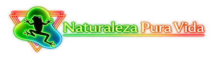 white logo@2x